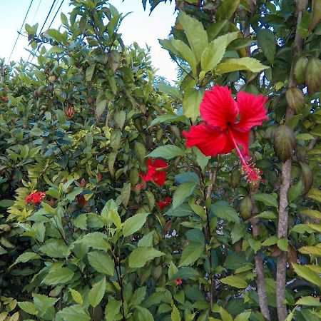 Las Galeras Island Hostel Ngoại thất bức ảnh